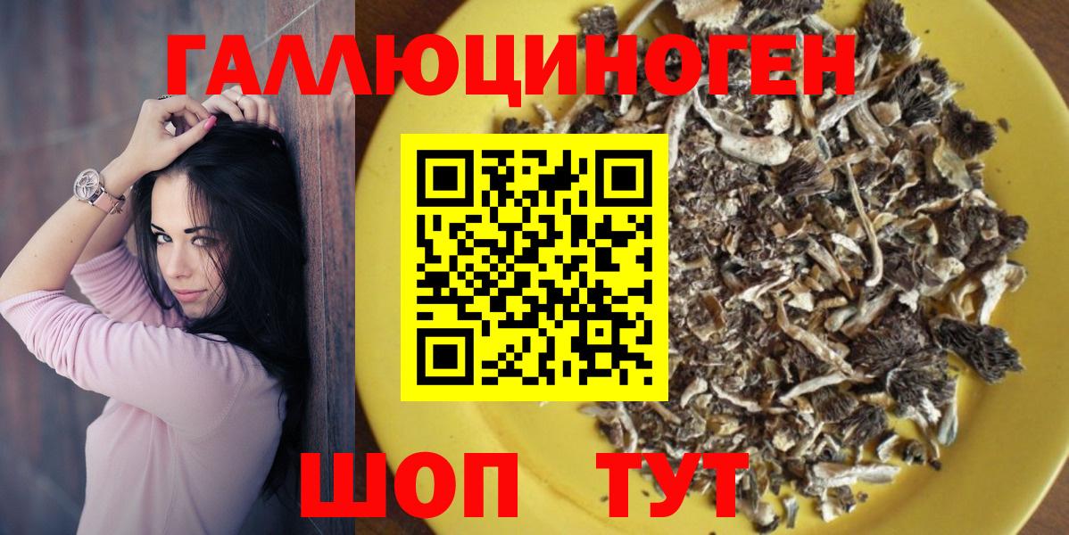 Псилоцибиновые грибы Psilocybe Конаково