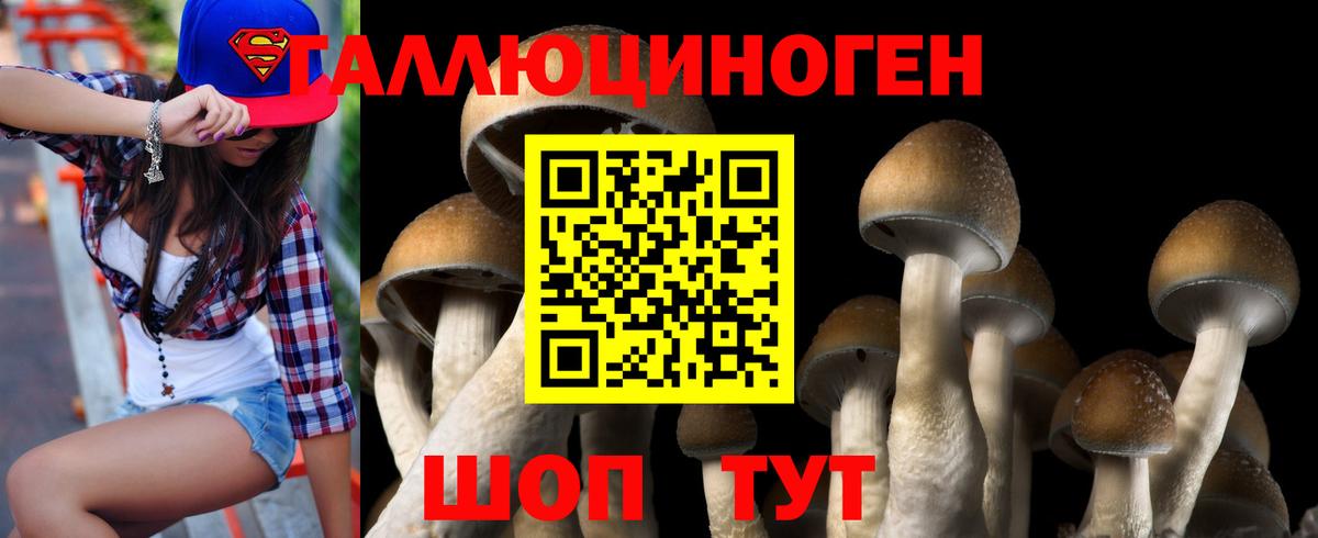Галлюциногенные грибы GOLDEN TEACHER  Галлюциногенные грибы MAGIC MUSHROOMS  Конаково  Вход с VPN 